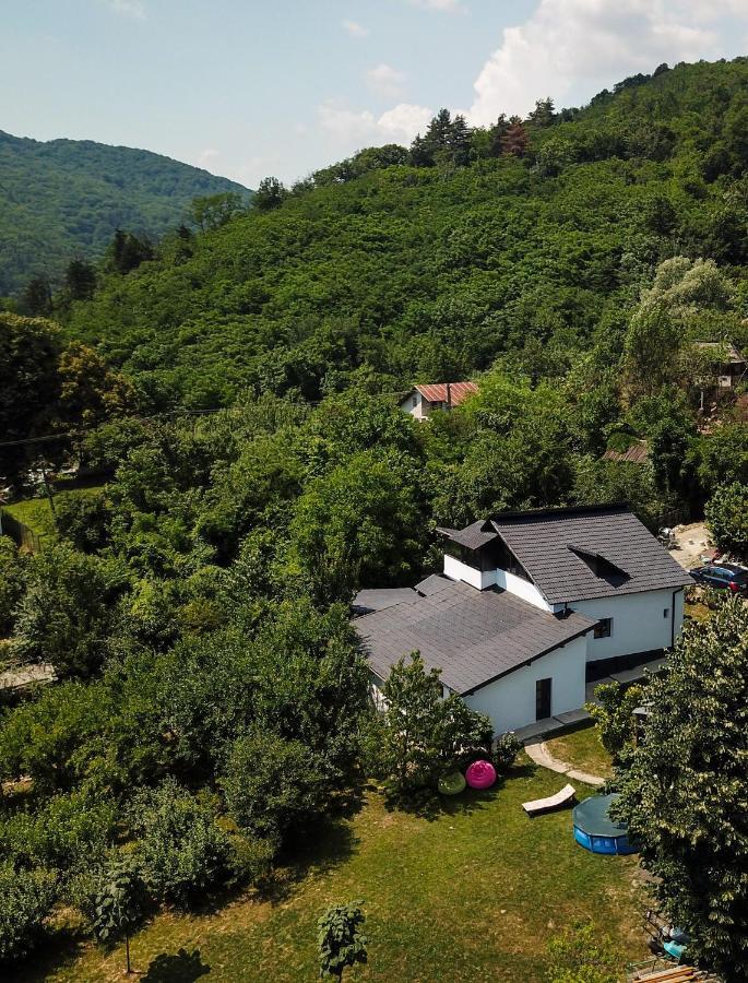 Upforest Villa Călimăneşti Exterior foto